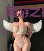网游之御灵师