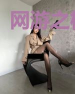 网游之枪与剑