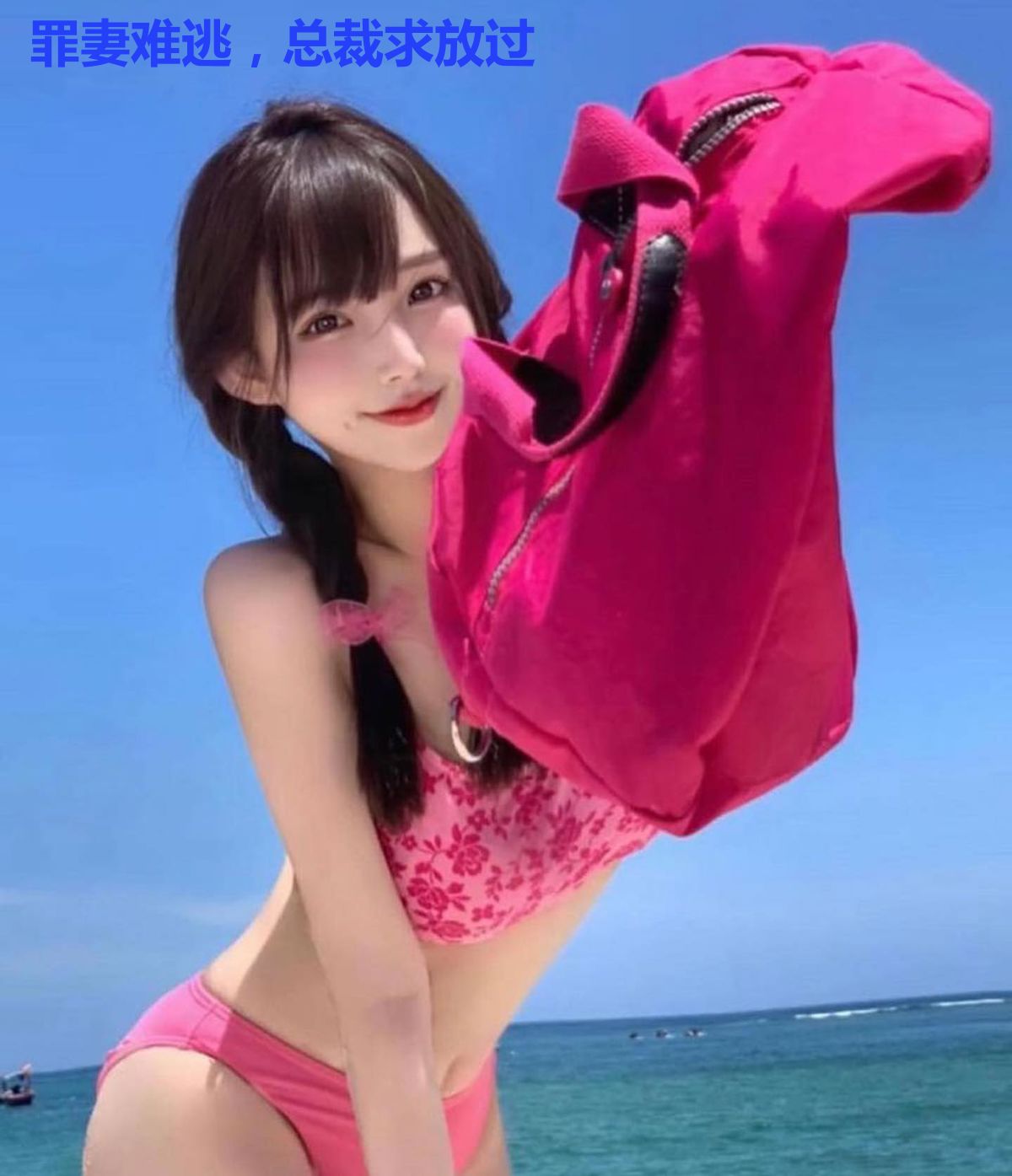 罪妻难逃，总裁求放过