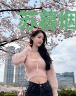 苏暮烟沈胤