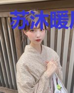 苏沐暖厉铭贺