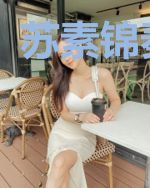 苏素锦秦慕辰