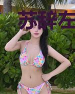 苏辞左司骁