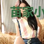 苗家小故事