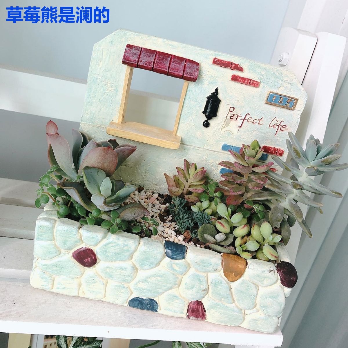 草莓熊是澜的