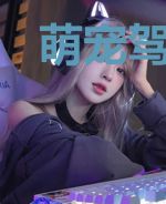 萌宠驾到：BOSS要听话