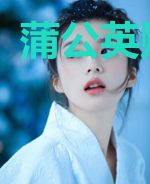 蒲公英赠予你
