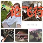 论飞行棋普及的可玩性