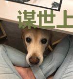 谋世上部之温姜软玉