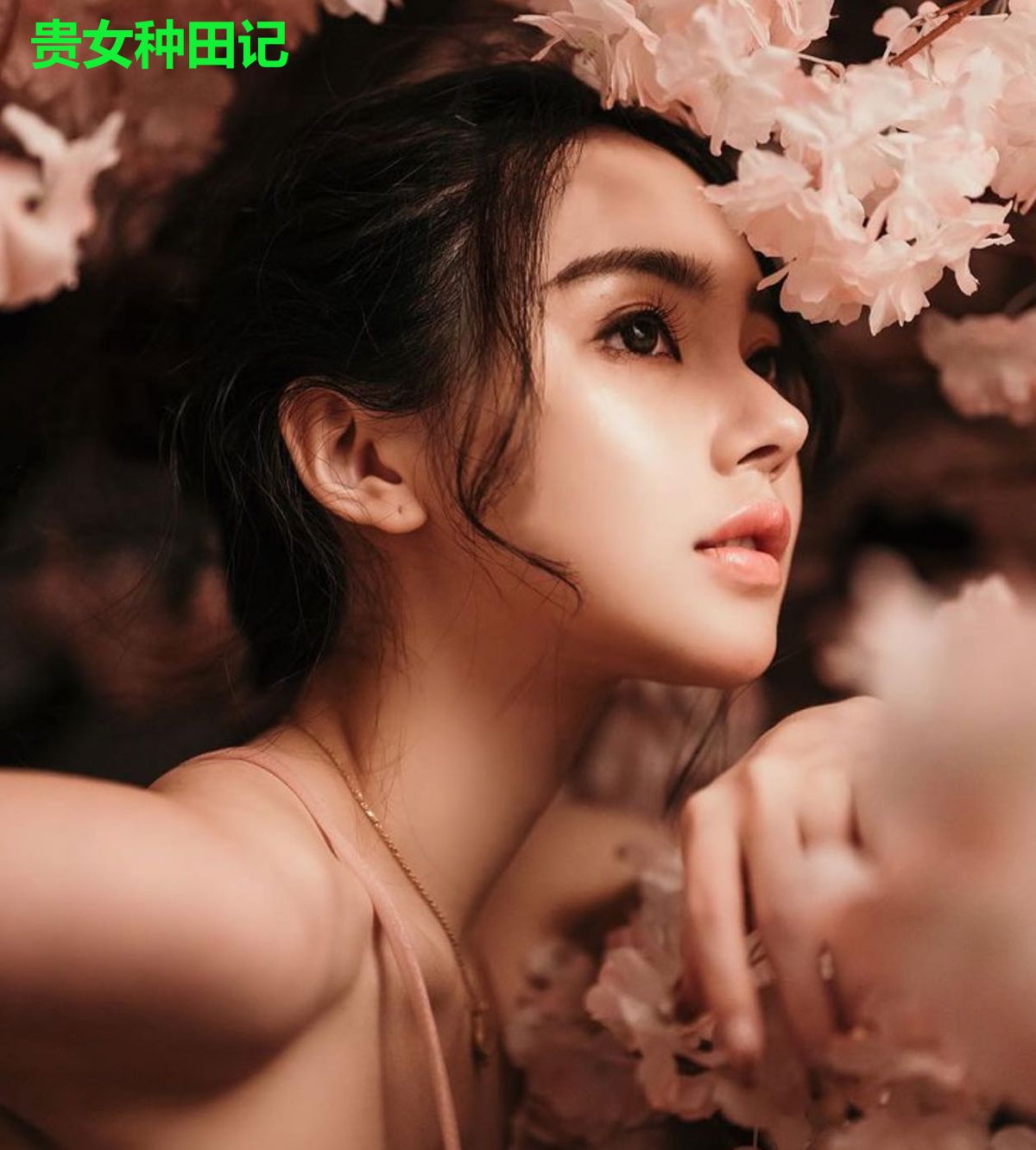 贵女种田记