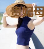贵妃母子民国文生存手札