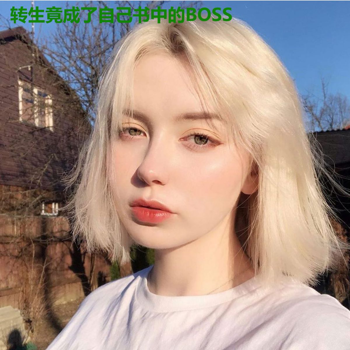 转生竟成了自己书中的BOSS