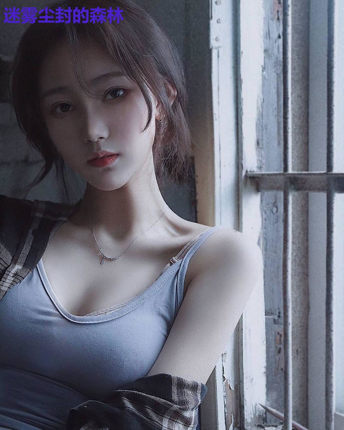 迷雾尘封的森林