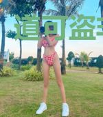 道可盗非常道