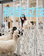 那些过往那些年