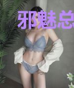 邪魅总裁专属爱莫晓叶