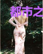 都市之老婆是女神