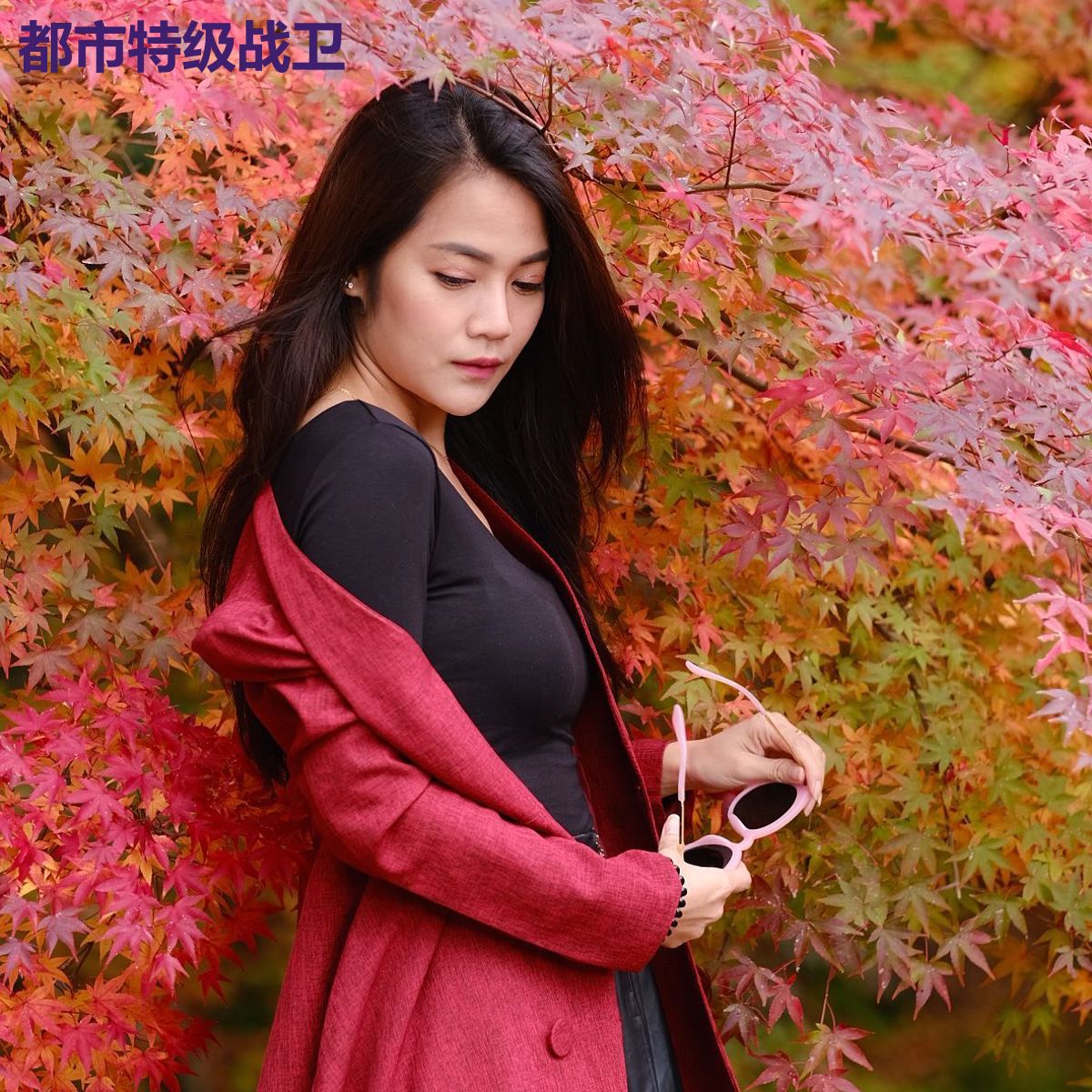 都市特级战卫