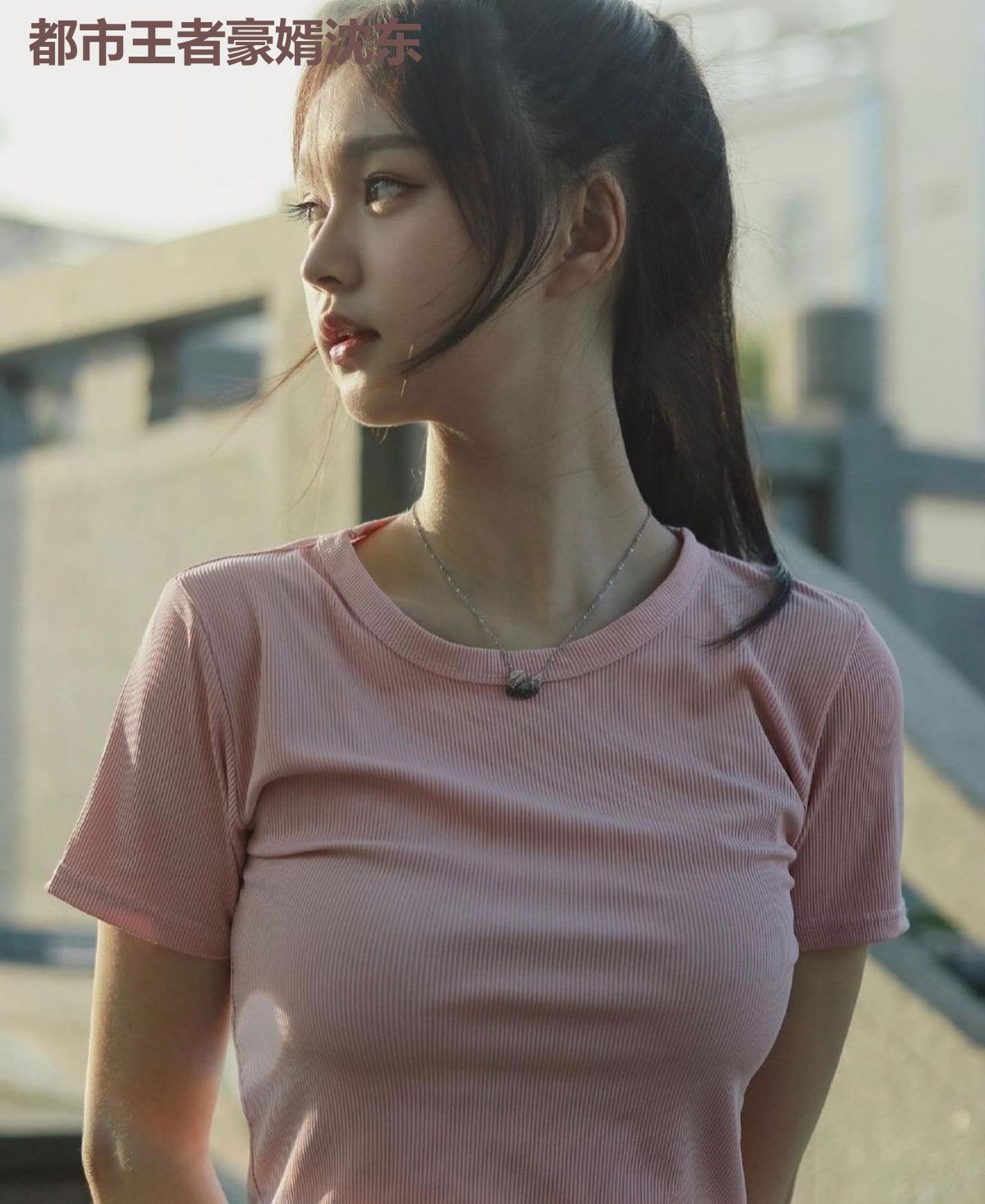 都市王者豪婿沈东