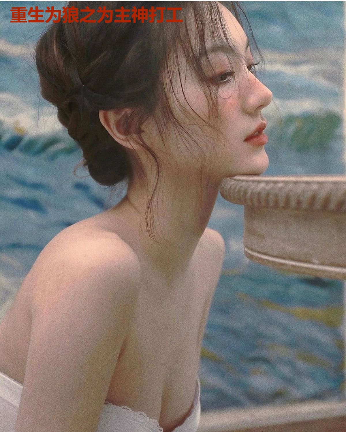 重生为狼之为主神打工