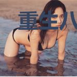 重生八零之发家致富养崽崽