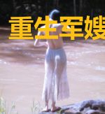 重生军嫂追爱计