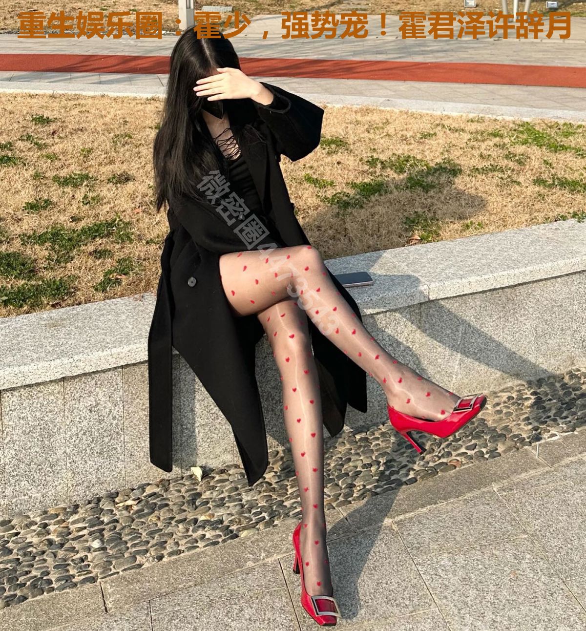 重生娱乐圈：霍少，强势宠！霍君泽许辞月