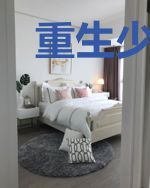 重生少女之冰心复仇记