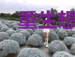 重生想当咸鱼的我，有个属性系统