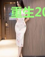 重生2009之完美人生