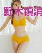 野木镇消失的人