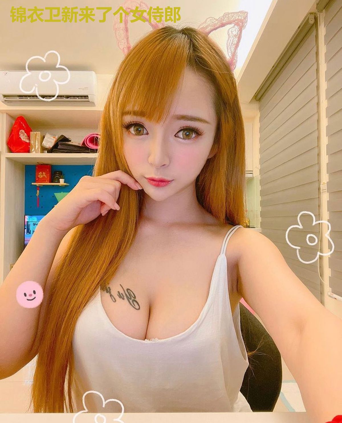 锦衣卫新来了个女侍郎