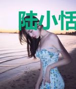 陆小恬顾琛