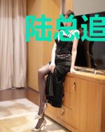 陆总追妻火葬场了林冉陆霆骁