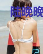 陆晚晚秦晖