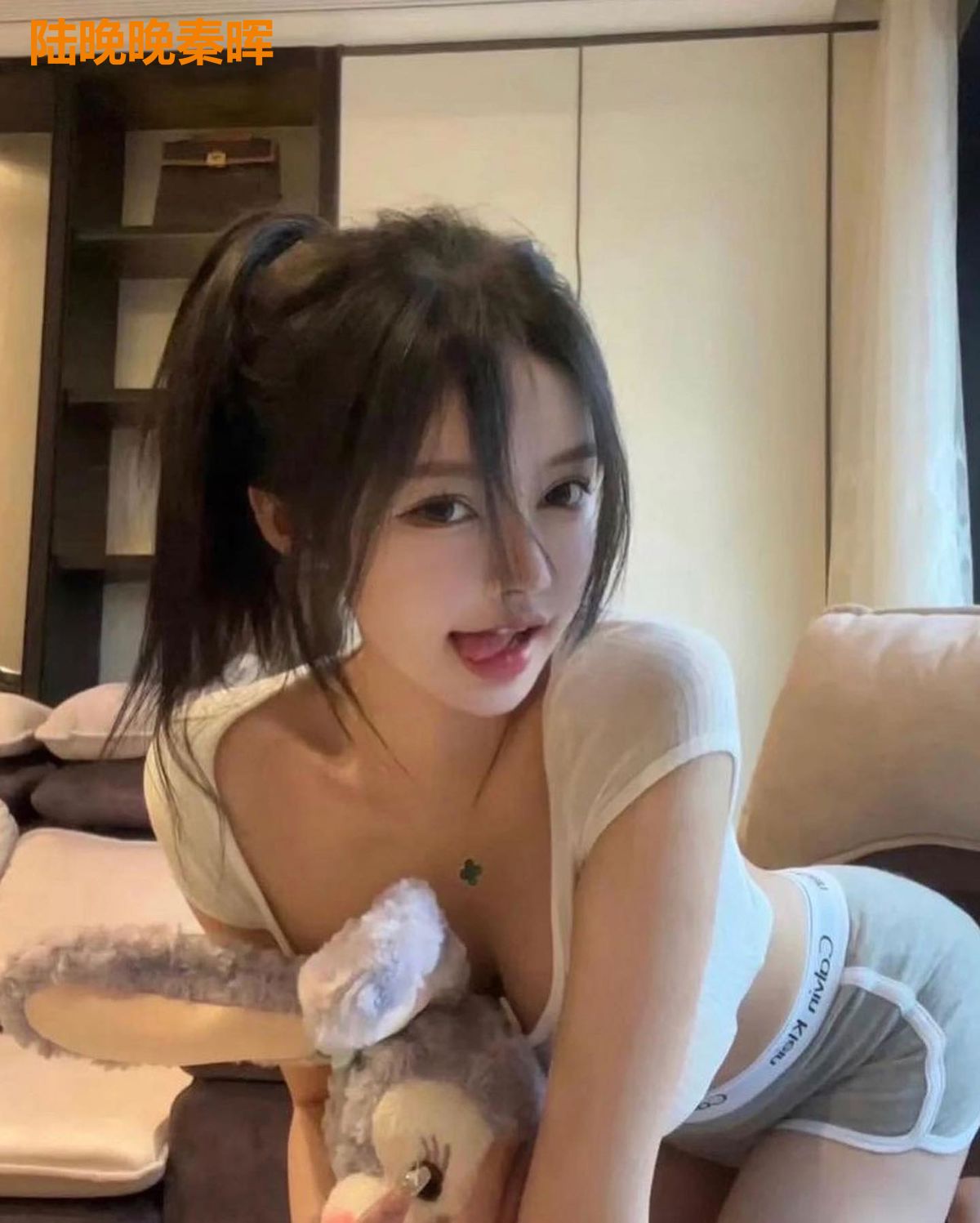 陆晚晚秦晖