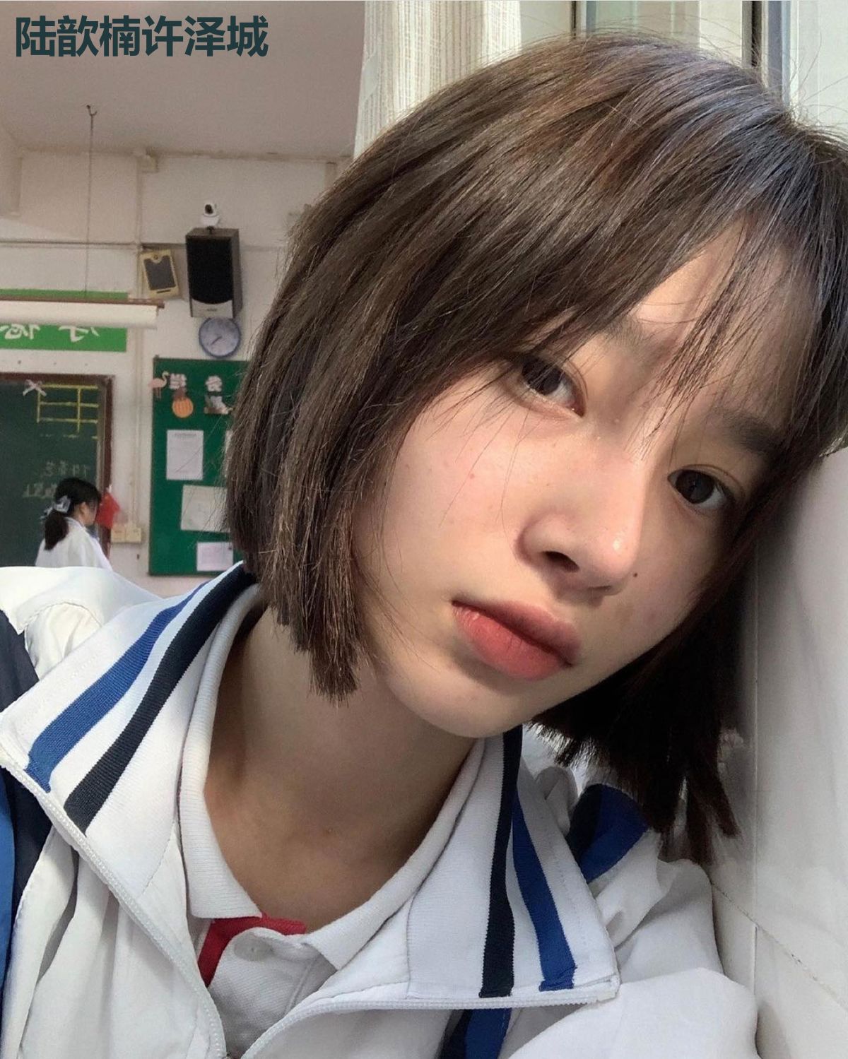 陆歆楠许泽城