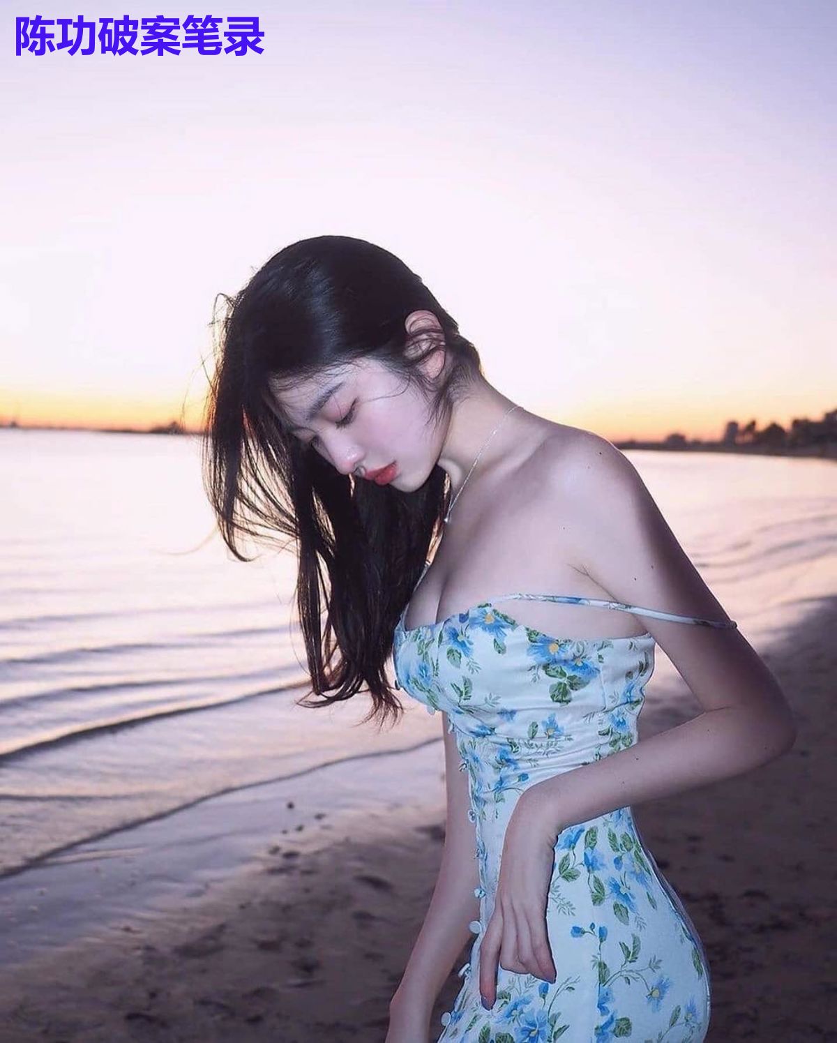 陈功破案笔录