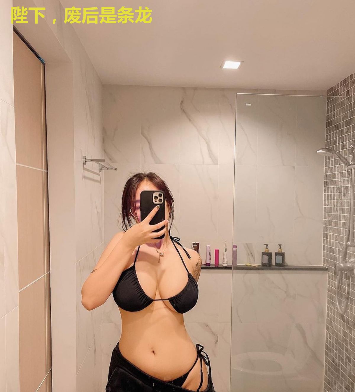 陛下，废后是条龙