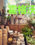 霍格沃茨的最强之獾