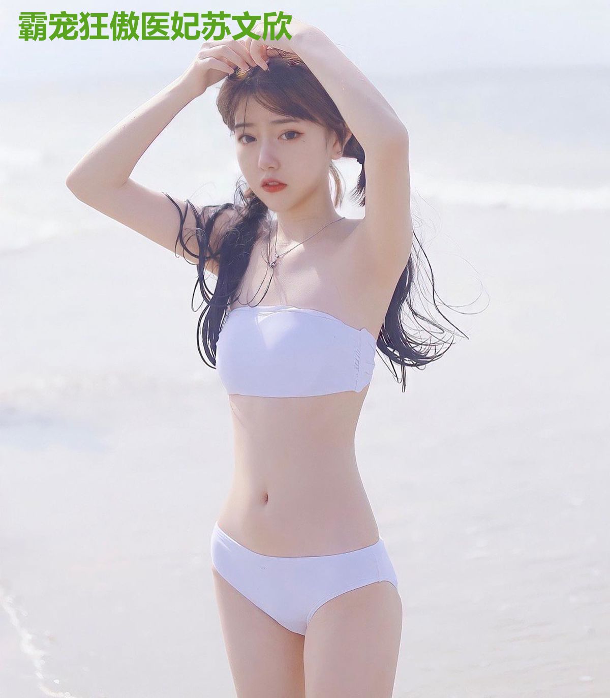 霸宠狂傲医妃苏文欣