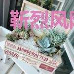 靳烈风阮小沫