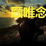 顾唯念唯念你欢颜