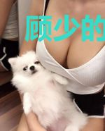 顾少的强势宠爱蒋菲