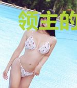 领主的神级辅助系统