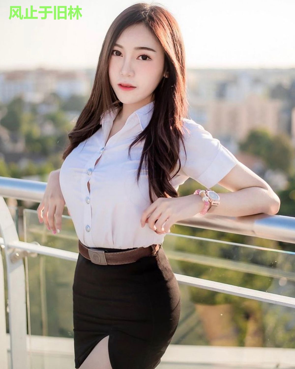 风止于旧林