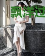 飘洋过海来爱你:一撞成婚