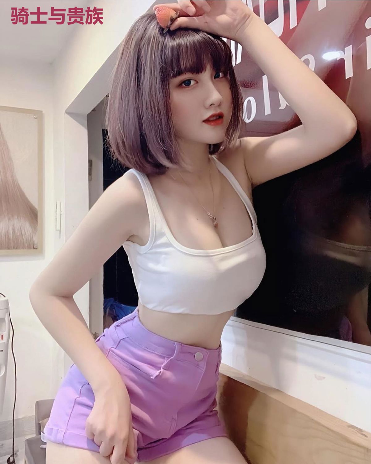骑士与贵族