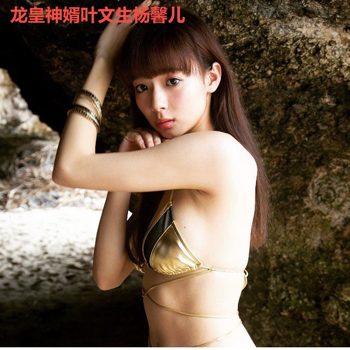 龙皇神婿叶文生杨馨儿