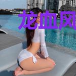 龙血风水师